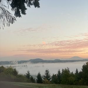 Meet your Posher, Isabella